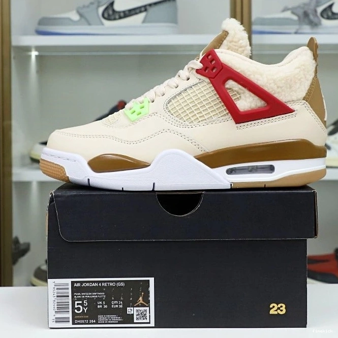 RETRO AIR 'WILD GS 4 JORDAN THINGS' 0225